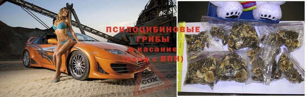 спиды Гусиноозёрск