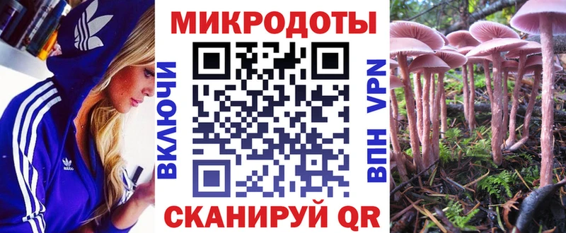 закладки  Октябрьский  Псилоцибиновые грибы Psilocybine cubensis 